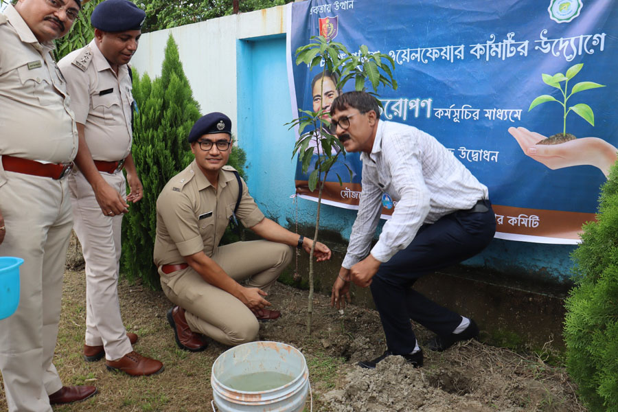 বৃক্ষরোপণ কর্মসূচি